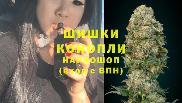 шишки Армянск