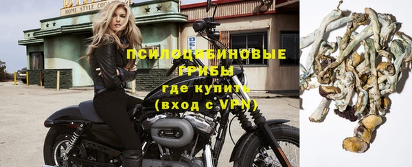 шишки Армянск