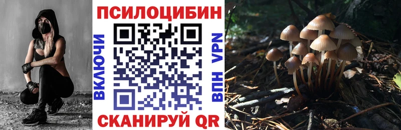 купить наркотики цена  Спас-Клепики  блэк спрут вход  Псилоцибиновые грибы мухоморы 